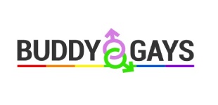 BuddyGays logo